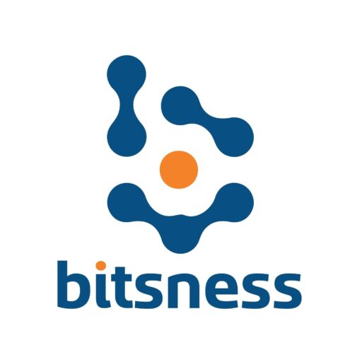 bitsness